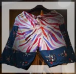 plus size short pants
